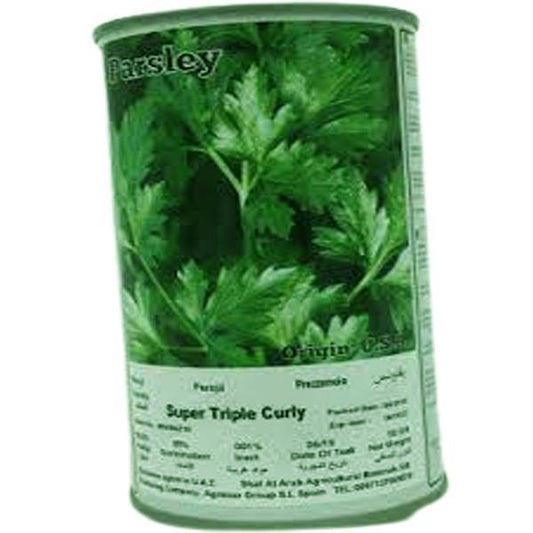 Super Triple Curly Parsley Seeds Tin - www.FOP.ae Buy online Best and Healthy Plants and quality products guarantee in Dubai Plants Shop in Dubai Abu Dhabi all over UAE Plants near me Fresh Plants in Dubai where to buy plants in UAE - FOP.ae