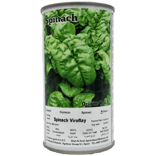 Spinach Virofalay Seeds Tin - www.FOP.ae Buy online Best and Healthy Plants and quality products guarantee in Dubai Plants Shop in Dubai Abu Dhabi all over UAE Plants near me Fresh Plants in Dubai where to buy plants in UAE - FOP.ae