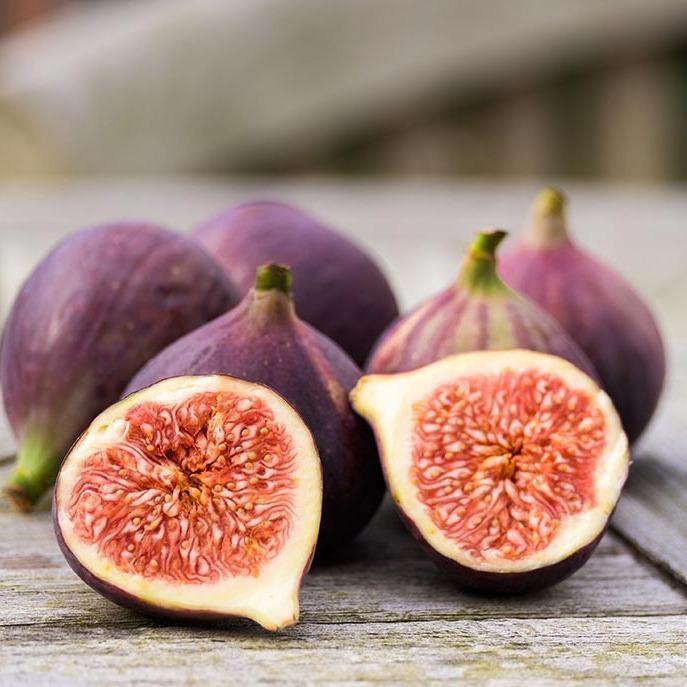 Fig Tree, Ficus Carica - www.FOP.ae Buy online Best and Healthy Plants and quality products guarantee in Dubai Plants Shop in Dubai Abu Dhabi all over UAE Plants near me Fresh Plants in Dubai where to buy plants in UAE - FOP.ae