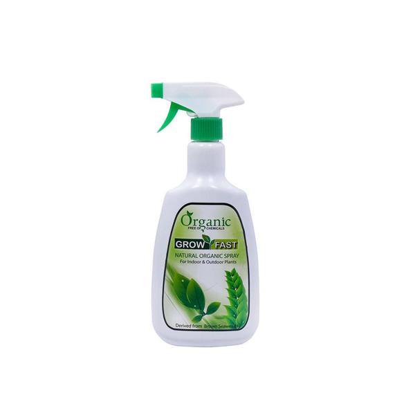 Grow Fast Natural Organic Spray - www.FOP.ae Buy online Best and Healthy Plants and quality products guarantee in Dubai Plants Shop in Dubai Abu Dhabi all over UAE Plants near me Fresh Plants in Dubai where to buy plants in UAE - FOP.ae