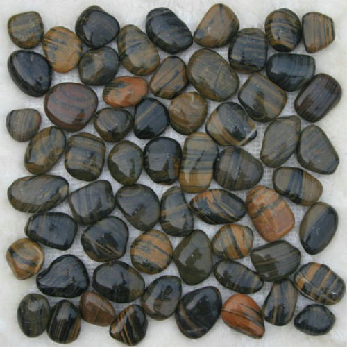 Tiger pebbles - www.FOP.ae Buy online Best and Healthy Plants and quality products guarantee in Dubai Plants Shop in Dubai Abu Dhabi all over UAE Plants near me Fresh Plants in Dubai where to buy plants in UAE - FOP.ae
