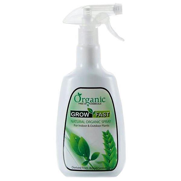 Grow Fast Natural Organic Spray - www.FOP.ae Buy online Best and Healthy Plants and quality products guarantee in Dubai Plants Shop in Dubai Abu Dhabi all over UAE Plants near me Fresh Plants in Dubai where to buy plants in UAE - FOP.ae