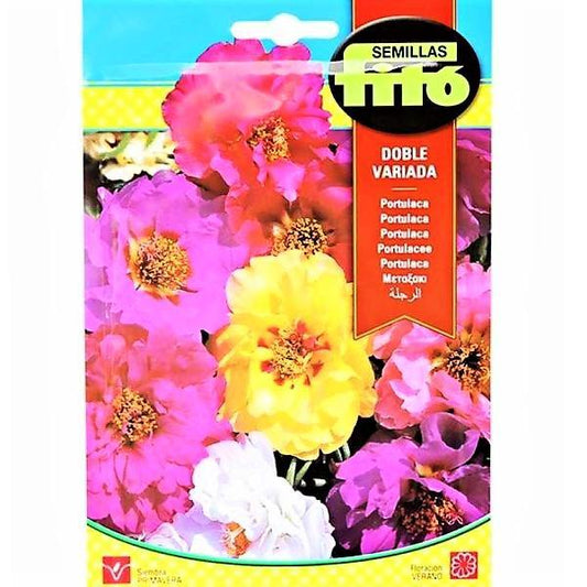 Portulaca Double Mix Seeds - www.FOP.ae Buy online Best and Healthy Plants and quality products guarantee in Dubai Plants Shop in Dubai Abu Dhabi all over UAE Plants near me Fresh Plants in Dubai where to buy plants in UAE - FOP.ae