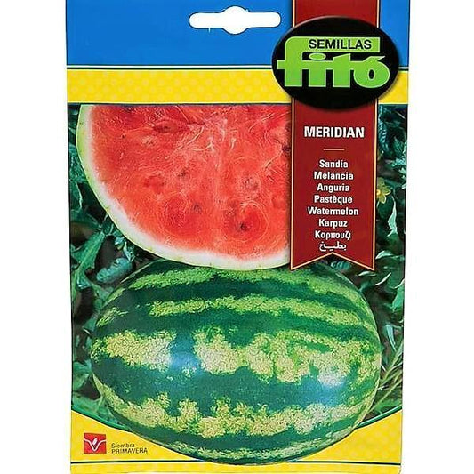 Sandia Meridian Seeds - www.FOP.ae Buy online Best and Healthy Plants and quality products guarantee in Dubai Plants Shop in Dubai Abu Dhabi all over UAE Plants near me Fresh Plants in Dubai where to buy plants in UAE - FOP.ae