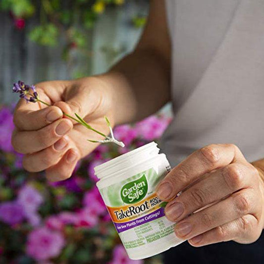 Garden Safe TakeRoot Rooting Hormone - www.FOP.ae Buy online Best and Healthy Plants and quality products guarantee in Dubai Plants Shop in Dubai Abu Dhabi all over UAE Plants near me Fresh Plants in Dubai where to buy plants in UAE - FOP.ae