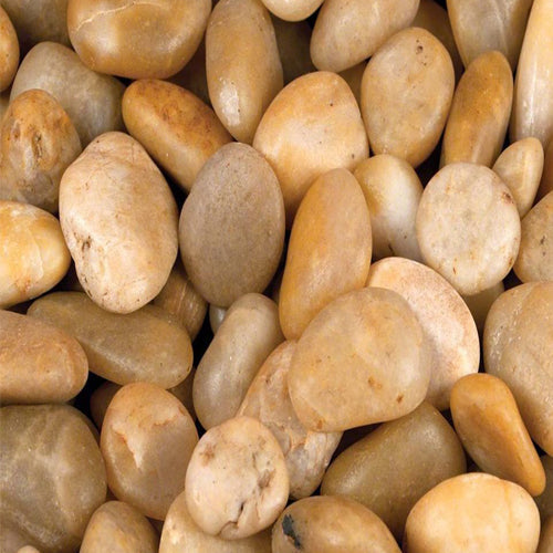 Yellow pebbles 3-5cm - www.FOP.ae Buy online Best and Healthy Plants and quality products guarantee in Dubai Plants Shop in Dubai Abu Dhabi all over UAE Plants near me Fresh Plants in Dubai where to buy plants in UAE - FOP.ae