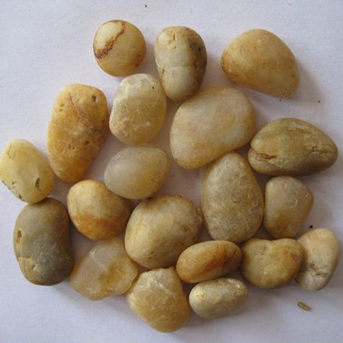 Yellow pebbles 3-5cm - www.FOP.ae Buy online Best and Healthy Plants and quality products guarantee in Dubai Plants Shop in Dubai Abu Dhabi all over UAE Plants near me Fresh Plants in Dubai where to buy plants in UAE - FOP.ae