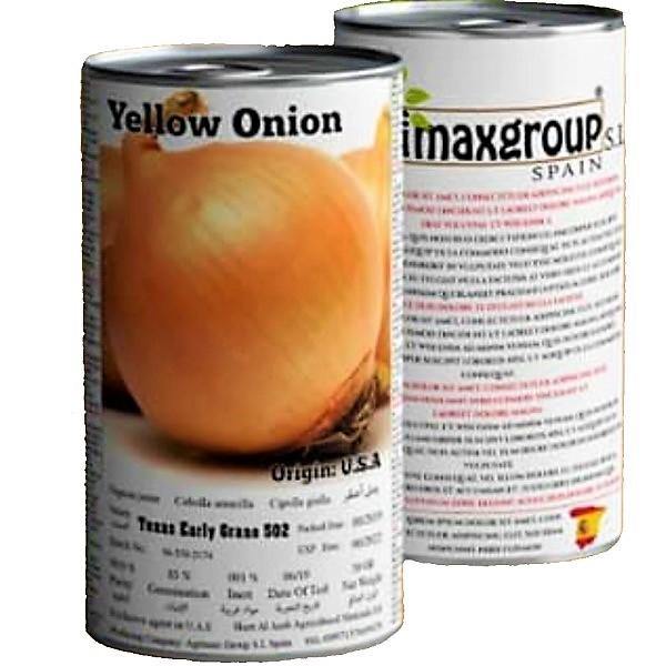 Yellow Onion Seeds Tin - www.FOP.ae Buy online Best and Healthy Plants and quality products guarantee in Dubai Plants Shop in Dubai Abu Dhabi all over UAE Plants near me Fresh Plants in Dubai where to buy plants in UAE - FOP.ae