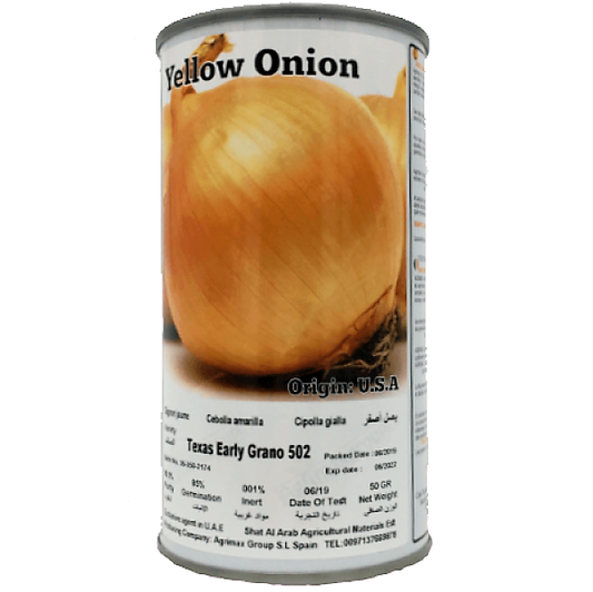 Yellow Onion Seeds Tin - www.FOP.ae Buy online Best and Healthy Plants and quality products guarantee in Dubai Plants Shop in Dubai Abu Dhabi all over UAE Plants near me Fresh Plants in Dubai where to buy plants in UAE - FOP.ae