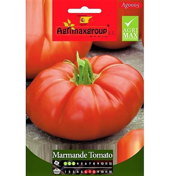 Marmande Tomato Seeds - www.FOP.ae Buy online Best and Healthy Plants and quality products guarantee in Dubai Plants Shop in Dubai Abu Dhabi all over UAE Plants near me Fresh Plants in Dubai where to buy plants in UAE - FOP.ae