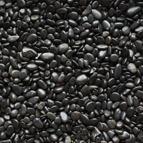 High Polished Black Pebbles 3-5cm - www.FOP.ae Buy online Best and Healthy Plants and quality products guarantee in Dubai Plants Shop in Dubai Abu Dhabi all over UAE Plants near me Fresh Plants in Dubai where to buy plants in UAE - FOP.ae