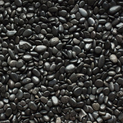 High Polished Black Pebbles 3-5cm - www.FOP.ae Buy online Best and Healthy Plants and quality products guarantee in Dubai Plants Shop in Dubai Abu Dhabi all over UAE Plants near me Fresh Plants in Dubai where to buy plants in UAE - FOP.ae