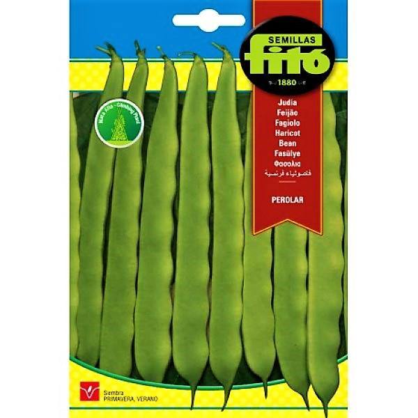 Bean Perolar Seeds - www.FOP.ae Buy online Best and Healthy Plants and quality products guarantee in Dubai Plants Shop in Dubai Abu Dhabi all over UAE Plants near me Fresh Plants in Dubai where to buy plants in UAE - FOP.ae