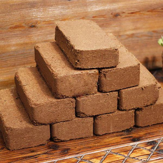 Coco Peat Block - www.FOP.ae Buy online Best and Healthy Plants and quality products guarantee in Dubai Plants Shop in Dubai Abu Dhabi all over UAE Plants near me Fresh Plants in Dubai where to buy plants in UAE - FOP.ae