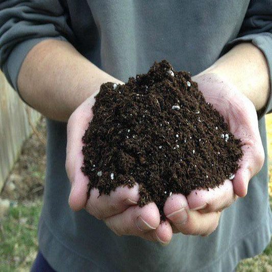 GARDENER’S Planting Mix Potting Soil - www.FOP.ae Buy online Best and Healthy Plants and quality products guarantee in Dubai Plants Shop in Dubai Abu Dhabi all over UAE Plants near me Fresh Plants in Dubai where to buy plants in UAE - FOP.ae