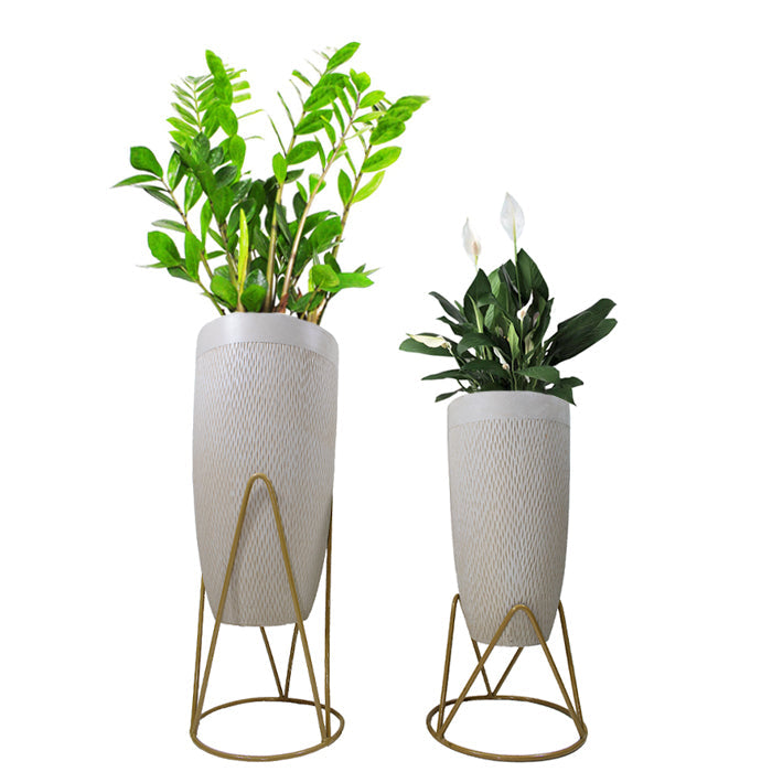 Stand SP B - www.FOP.ae Buy online Best and Healthy Plants and quality products guarantee in Dubai Plants Shop in Dubai Abu Dhabi all over UAE Plants near me Fresh Plants in Dubai where to buy plants in UAE - FOP.ae