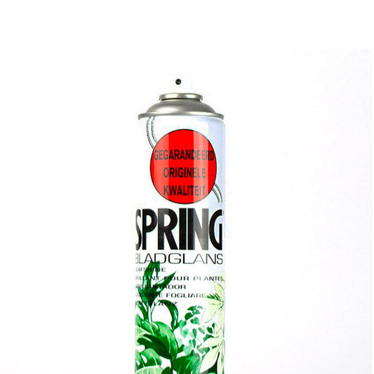 Leafshine Spray - www.FOP.ae Buy online Best and Healthy Plants and quality products guarantee in Dubai Plants Shop in Dubai Abu Dhabi all over UAE Plants near me Fresh Plants in Dubai where to buy plants in UAE - FOP.ae