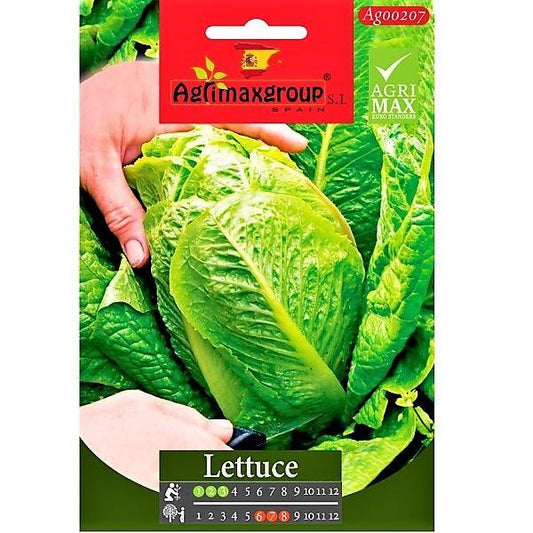 Lettuce Seeds - www.FOP.ae Buy online Best and Healthy Plants and quality products guarantee in Dubai Plants Shop in Dubai Abu Dhabi all over UAE Plants near me Fresh Plants in Dubai where to buy plants in UAE - FOP.ae