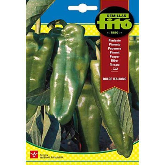 Pepper Dulce Italiano Seeds - www.FOP.ae Buy online Best and Healthy Plants and quality products guarantee in Dubai Plants Shop in Dubai Abu Dhabi all over UAE Plants near me Fresh Plants in Dubai where to buy plants in UAE - FOP.ae