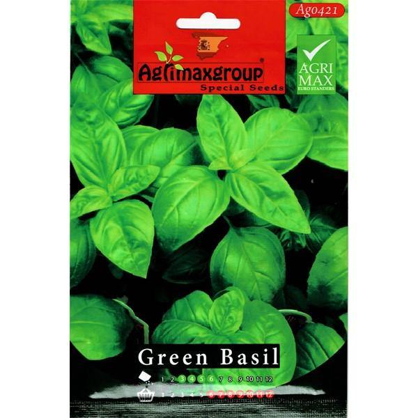 Green Basil Seeds - www.FOP.ae Buy online Best and Healthy Plants and quality products guarantee in Dubai Plants Shop in Dubai Abu Dhabi all over UAE Plants near me Fresh Plants in Dubai where to buy plants in UAE - FOP.ae