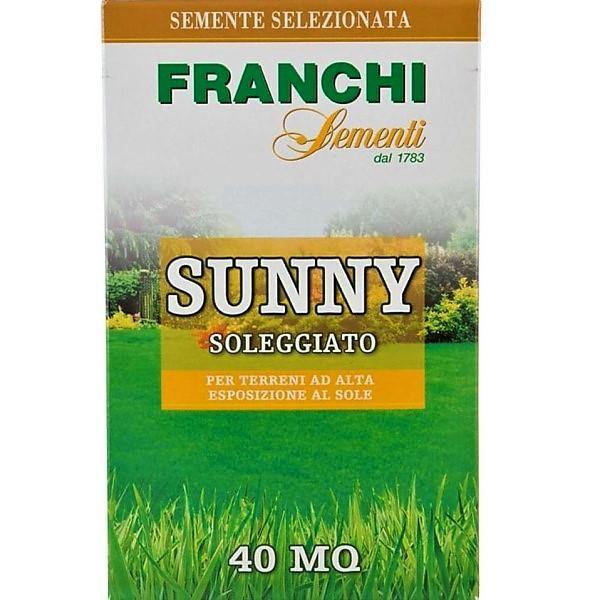 Grass Seeds Sunny Franchi - www.FOP.ae Buy online Best and Healthy Plants and quality products guarantee in Dubai Plants Shop in Dubai Abu Dhabi all over UAE Plants near me Fresh Plants in Dubai where to buy plants in UAE - FOP.ae