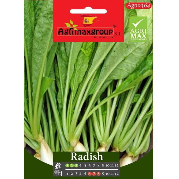 Radish Seeds - www.FOP.ae Buy online Best and Healthy Plants and quality products guarantee in Dubai Plants Shop in Dubai Abu Dhabi all over UAE Plants near me Fresh Plants in Dubai where to buy plants in UAE - FOP.ae