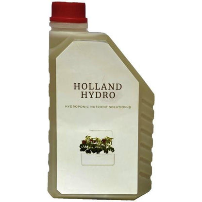 Hydroponic Nutrients Solution, B - www.FOP.ae Buy online Best and Healthy Plants and quality products guarantee in Dubai Plants Shop in Dubai Abu Dhabi all over UAE Plants near me Fresh Plants in Dubai where to buy plants in UAE - FOP.ae