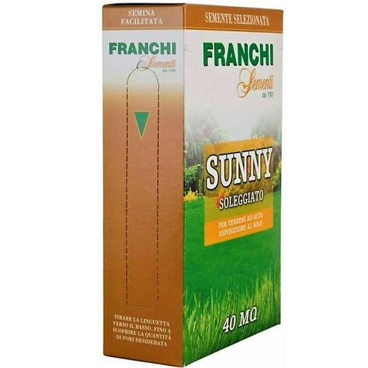 Grass Seeds Sunny Franchi - www.FOP.ae Buy online Best and Healthy Plants and quality products guarantee in Dubai Plants Shop in Dubai Abu Dhabi all over UAE Plants near me Fresh Plants in Dubai where to buy plants in UAE - FOP.ae