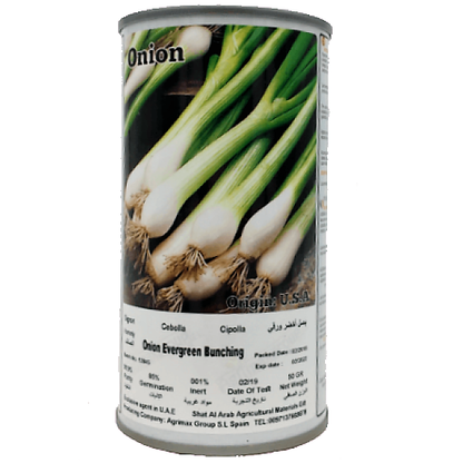 Evergreen Bunching Onions Seeds Tin - www.FOP.ae Buy online Best and Healthy Plants and quality products guarantee in Dubai Plants Shop in Dubai Abu Dhabi all over UAE Plants near me Fresh Plants in Dubai where to buy plants in UAE - FOP.ae