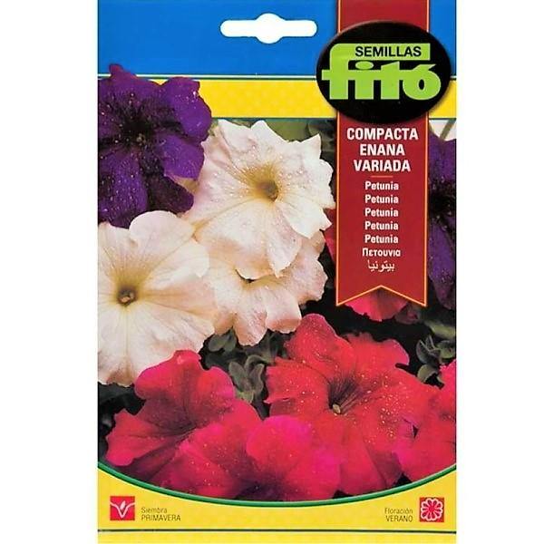 Dwarf Petunia Compact Mix Flower Seeds - www.FOP.ae Buy online Best and Healthy Plants and quality products guarantee in Dubai Plants Shop in Dubai Abu Dhabi all over UAE Plants near me Fresh Plants in Dubai where to buy plants in UAE - FOP.ae