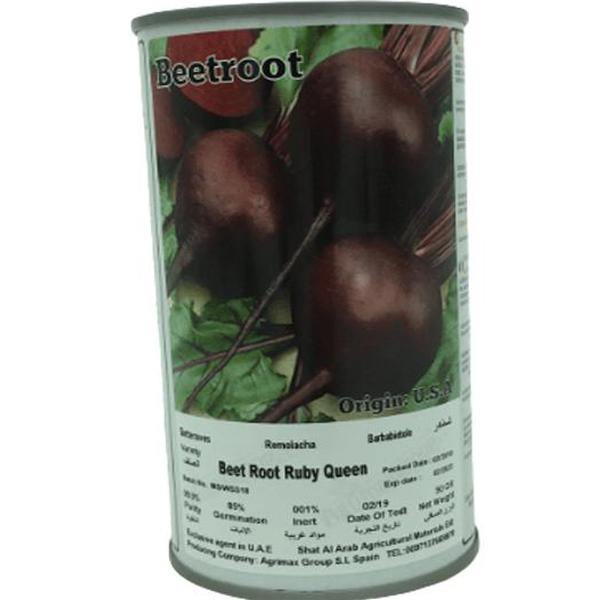 Ruby Queen Beetroot Seeds Tin - www.FOP.ae Buy online Best and Healthy Plants and quality products guarantee in Dubai Plants Shop in Dubai Abu Dhabi all over UAE Plants near me Fresh Plants in Dubai where to buy plants in UAE - FOP.ae