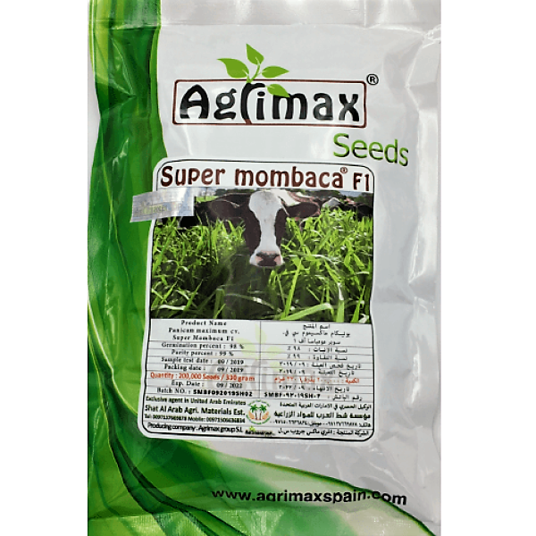 Super Mombaca F1 200K Premium Quality Seeds - www.FOP.ae Buy online Best and Healthy Plants and quality products guarantee in Dubai Plants Shop in Dubai Abu Dhabi all over UAE Plants near me Fresh Plants in Dubai where to buy plants in UAE - FOP.ae