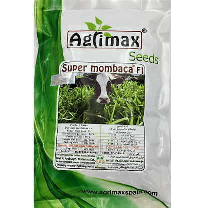 Super Mombaca F1 200K Premium Quality Seeds - www.FOP.ae Buy online Best and Healthy Plants and quality products guarantee in Dubai Plants Shop in Dubai Abu Dhabi all over UAE Plants near me Fresh Plants in Dubai where to buy plants in UAE - FOP.ae