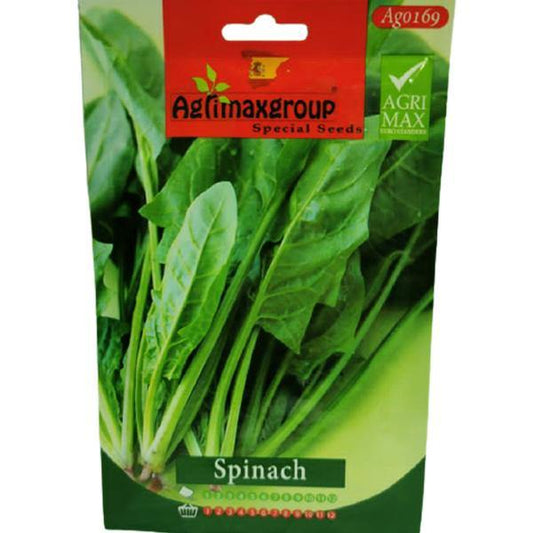 Spinach Seeds - www.FOP.ae Buy online Best and Healthy Plants and quality products guarantee in Dubai Plants Shop in Dubai Abu Dhabi all over UAE Plants near me Fresh Plants in Dubai where to buy plants in UAE - FOP.ae