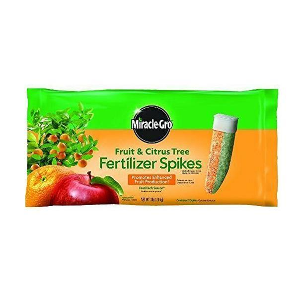 Miracle-Gro Fruit & Citrus Fertilizer Spikes - www.FOP.ae Buy online Best and Healthy Plants and quality products guarantee in Dubai Plants Shop in Dubai Abu Dhabi all over UAE Plants near me Fresh Plants in Dubai where to buy plants in UAE - FOP.ae