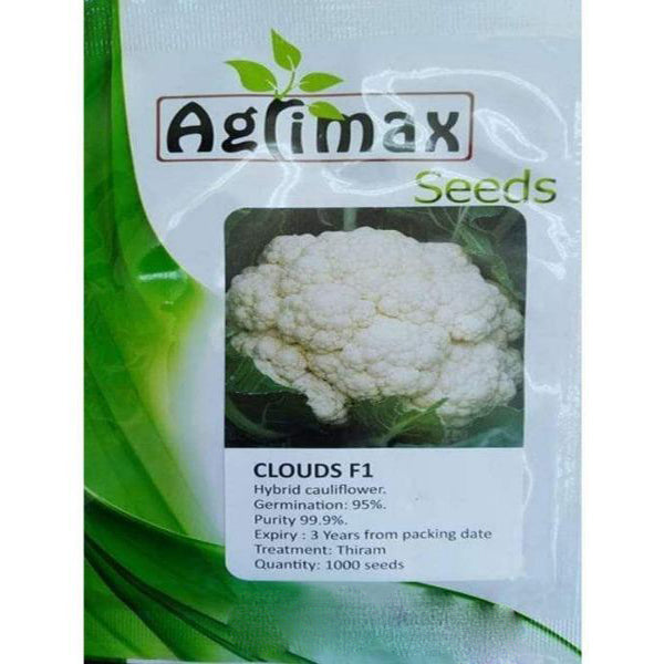 Cauliflower Clouds F1 Premium Seeds - www.FOP.ae Buy online Best and Healthy Plants and quality products guarantee in Dubai Plants Shop in Dubai Abu Dhabi all over UAE Plants near me Fresh Plants in Dubai where to buy plants in UAE - FOP.ae
