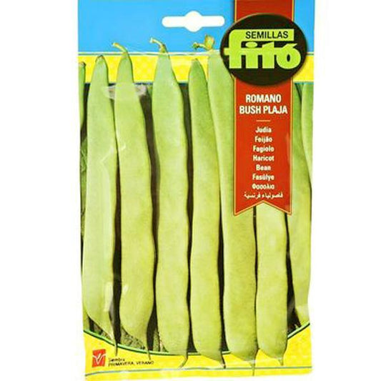 Bean Perolar Seeds - www.FOP.ae Buy online Best and Healthy Plants and quality products guarantee in Dubai Plants Shop in Dubai Abu Dhabi all over UAE Plants near me Fresh Plants in Dubai where to buy plants in UAE - FOP.ae