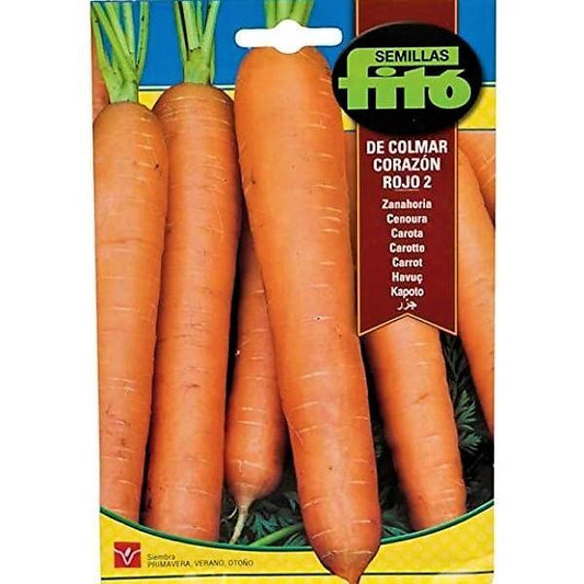 Carrot Colmar Red Heart Seeds - www.FOP.ae Buy online Best and Healthy Plants and quality products guarantee in Dubai Plants Shop in Dubai Abu Dhabi all over UAE Plants near me Fresh Plants in Dubai where to buy plants in UAE - FOP.ae