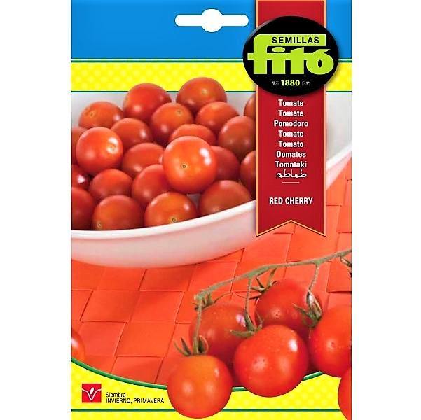Cherry Tomato Seeds - www.FOP.ae Buy online Best and Healthy Plants and quality products guarantee in Dubai Plants Shop in Dubai Abu Dhabi all over UAE Plants near me Fresh Plants in Dubai where to buy plants in UAE - FOP.ae