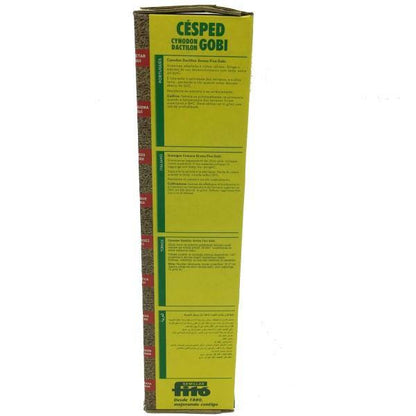 Cynodon Dactylon, Bermuda Grass Seeds - www.FOP.ae Buy online Best and Healthy Plants and quality products guarantee in Dubai Plants Shop in Dubai Abu Dhabi all over UAE Plants near me Fresh Plants in Dubai where to buy plants in UAE - FOP.ae