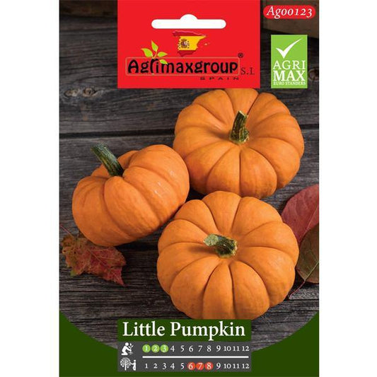 Little Pumpkin Seeds - www.FOP.ae Buy online Best and Healthy Plants and quality products guarantee in Dubai Plants Shop in Dubai Abu Dhabi all over UAE Plants near me Fresh Plants in Dubai where to buy plants in UAE - FOP.ae