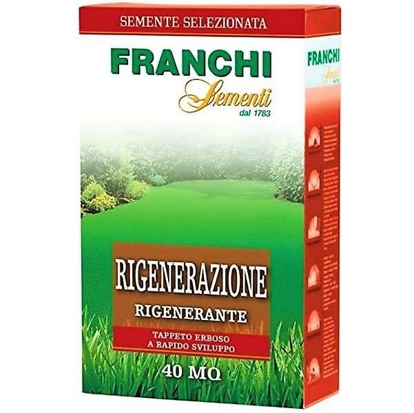 Grass Seeds by FRANCHI RIGENERAZIONE - www.FOP.ae Buy online Best and Healthy Plants and quality products guarantee in Dubai Plants Shop in Dubai Abu Dhabi all over UAE Plants near me Fresh Plants in Dubai where to buy plants in UAE - FOP.ae