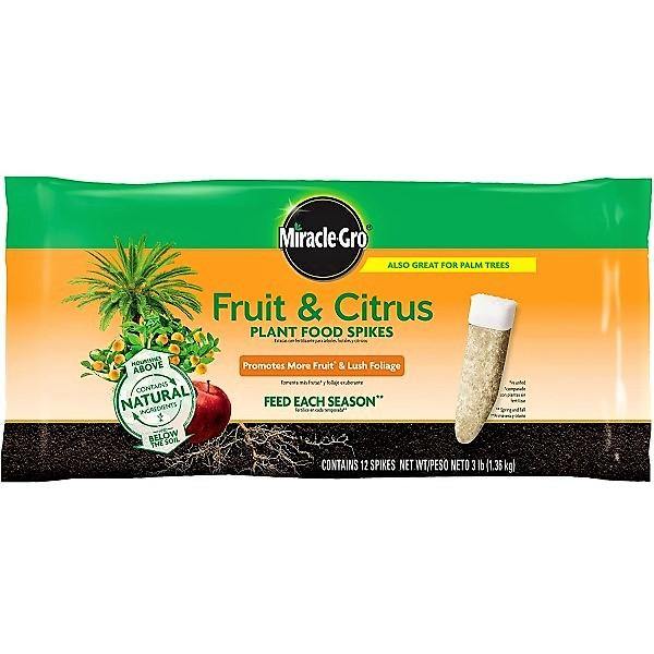 Miracle-Gro Fruit & Citrus Fertilizer Spikes - www.FOP.ae Buy online Best and Healthy Plants and quality products guarantee in Dubai Plants Shop in Dubai Abu Dhabi all over UAE Plants near me Fresh Plants in Dubai where to buy plants in UAE - FOP.ae