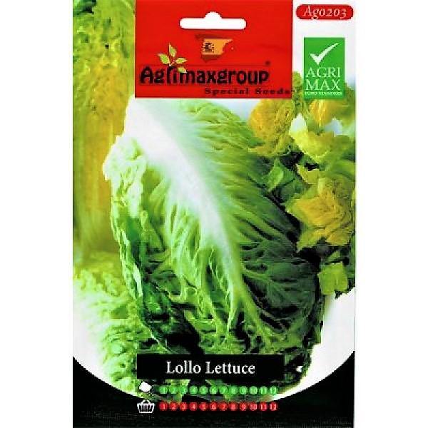 Lollo Lettuce Seeds - www.FOP.ae Buy online Best and Healthy Plants and quality products guarantee in Dubai Plants Shop in Dubai Abu Dhabi all over UAE Plants near me Fresh Plants in Dubai where to buy plants in UAE - FOP.ae