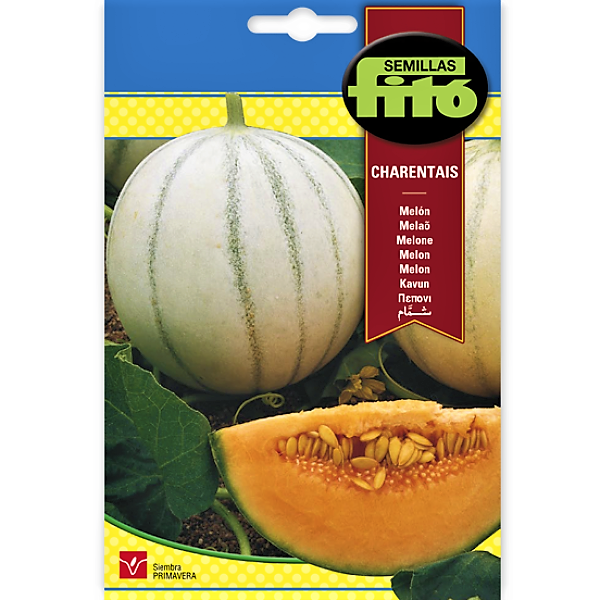 Melon Charentais Seeds - www.FOP.ae Buy online Best and Healthy Plants and quality products guarantee in Dubai Plants Shop in Dubai Abu Dhabi all over UAE Plants near me Fresh Plants in Dubai where to buy plants in UAE - FOP.ae