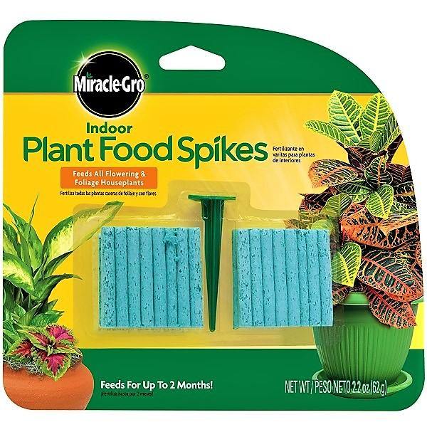 Miracle-Gro Indoor Plant Food - www.FOP.ae Buy online Best and Healthy Plants and quality products guarantee in Dubai Plants Shop in Dubai Abu Dhabi all over UAE Plants near me Fresh Plants in Dubai where to buy plants in UAE - FOP.ae