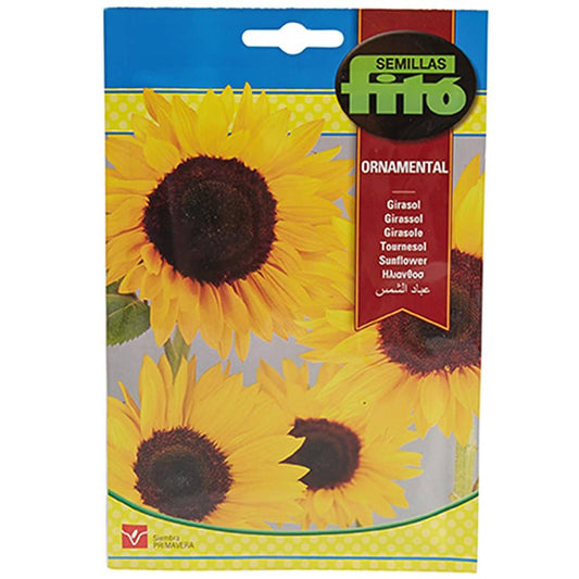 Sunflower Seeds 110mg Seeds - www.FOP.ae Buy online Best and Healthy Plants and quality products guarantee in Dubai Plants Shop in Dubai Abu Dhabi all over UAE Plants near me Fresh Plants in Dubai where to buy plants in UAE - FOP.ae