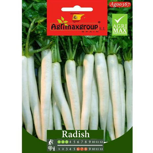 White Radish Seeds - www.FOP.ae Buy online Best and Healthy Plants and quality products guarantee in Dubai Plants Shop in Dubai Abu Dhabi all over UAE Plants near me Fresh Plants in Dubai where to buy plants in UAE - FOP.ae