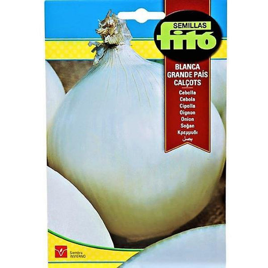 Onion Blanca Grande Pais Calcots Seeds - www.FOP.ae Buy online Best and Healthy Plants and quality products guarantee in Dubai Plants Shop in Dubai Abu Dhabi all over UAE Plants near me Fresh Plants in Dubai where to buy plants in UAE - FOP.ae