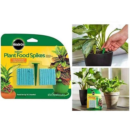 Miracle-Gro Indoor Plant Food - www.FOP.ae Buy online Best and Healthy Plants and quality products guarantee in Dubai Plants Shop in Dubai Abu Dhabi all over UAE Plants near me Fresh Plants in Dubai where to buy plants in UAE - FOP.ae